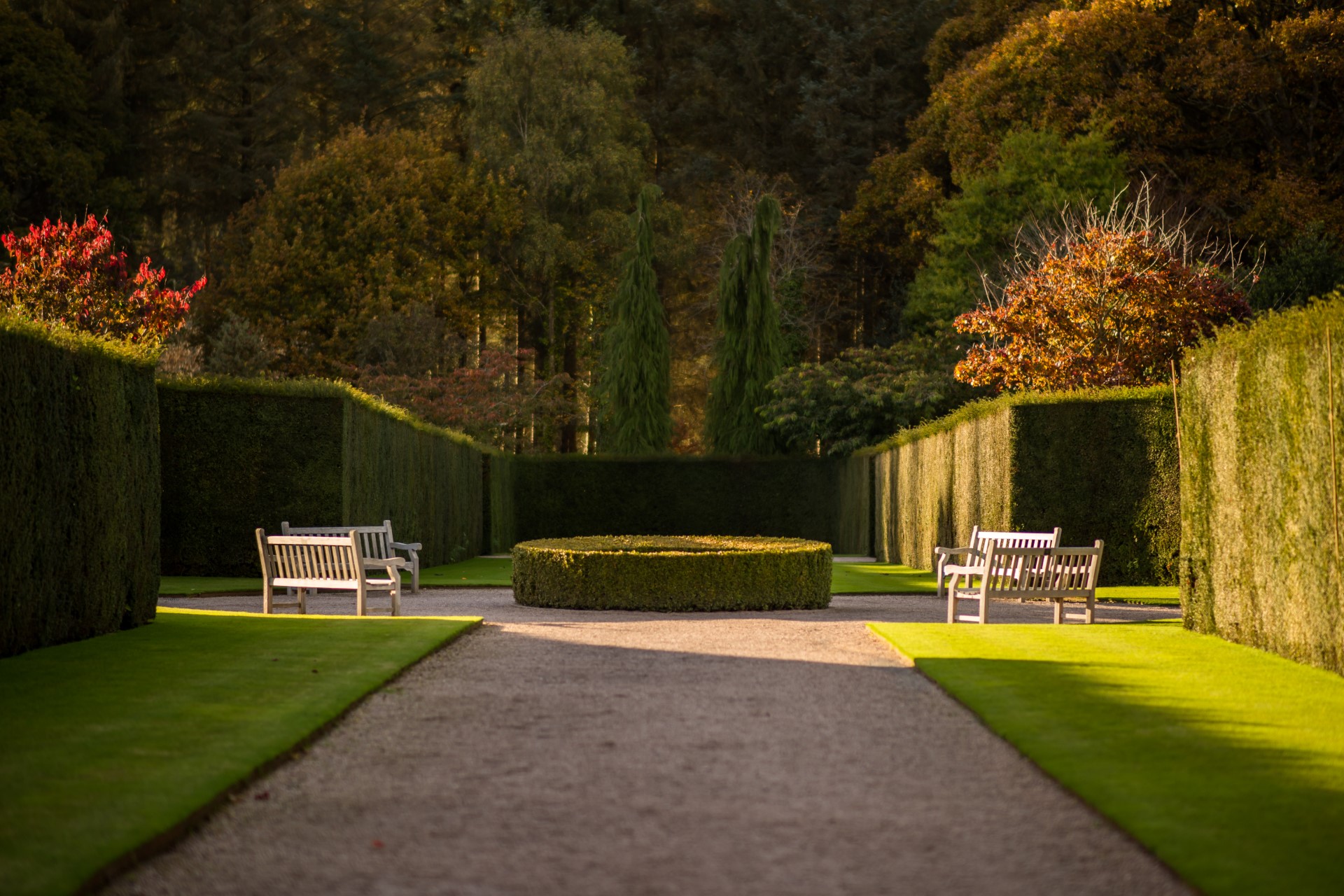 A view down Rosemoor Gardens